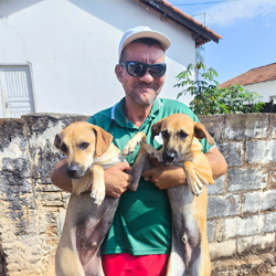 Paçoca e Picachu – 1 ano